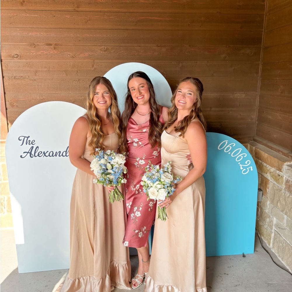 Show Me Your MuMu Satin Clarissa corset dress champagne